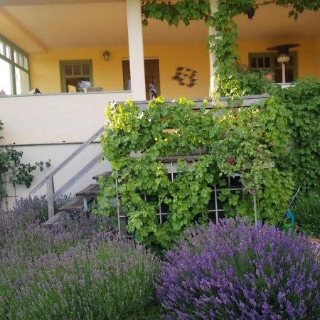 Ferienhaus Schiller Waren  Exteriér fotografie